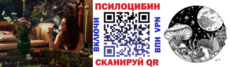 как найти закладки  Козельск  Галлюциногенные грибы GOLDEN TEACHER 